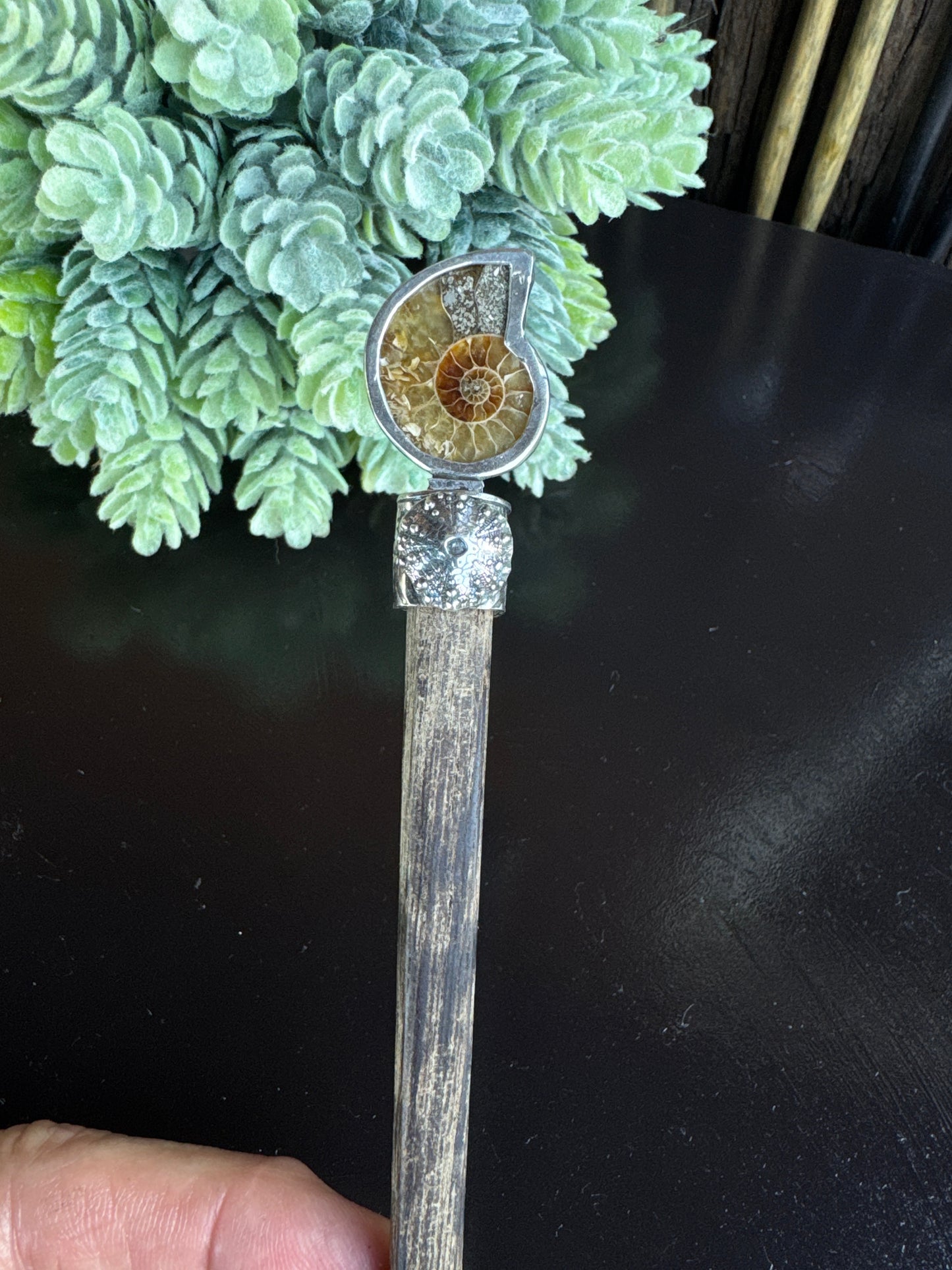 Ammonite Hair Stick