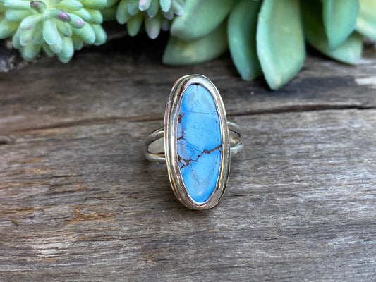 Golden Hills Turquoise (Desert Lavender)
