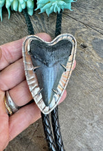 Load image into Gallery viewer, Sterling Silver And Fossilized Mako Shark Tooth Bolo Tie
