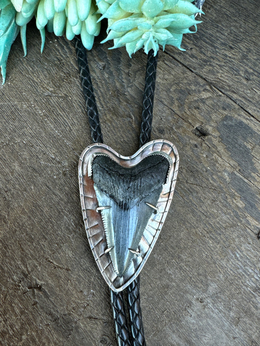 Sterling Silver Mako Shark Tooth Bolo Tie