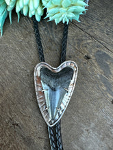 Load image into Gallery viewer, Sterling Silver And Fossilized Mako Shark Tooth Bolo Tie
