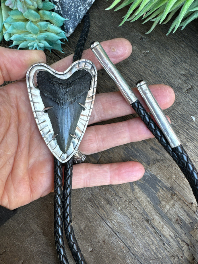 Sterling Silver And Fossilized Mako Shark Tooth Bolo Tie