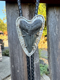 Sterling Silver And Fossilized Mako Shark Tooth Bolo Tie