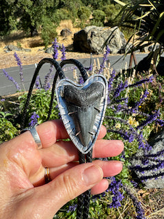 Sterling Silver And Fossilized Mako Shark Tooth Bolo Tie