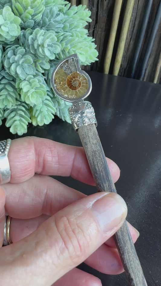 Ammonite Hair Stick