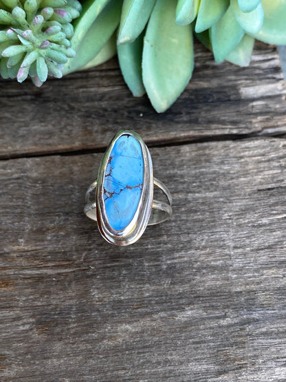 Golden Hills Turquoise (Desert Lavender)