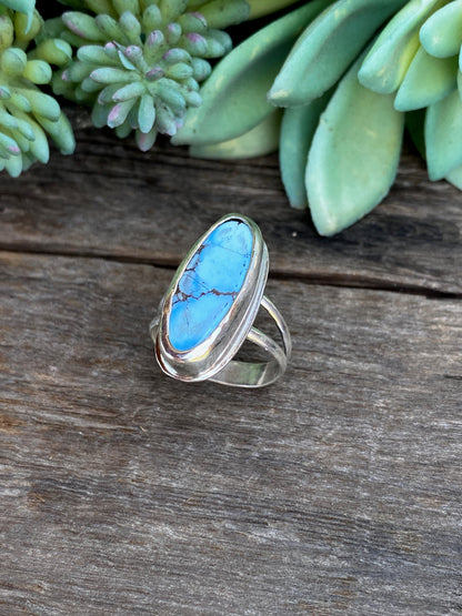 Golden Hills Turquoise (Desert Lavender)